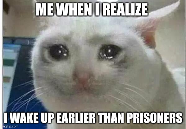 crying cat | ME WHEN I REALIZE; I WAKE UP EARLIER THAN PRISONERS | image tagged in crying cat | made w/ Imgflip meme maker
