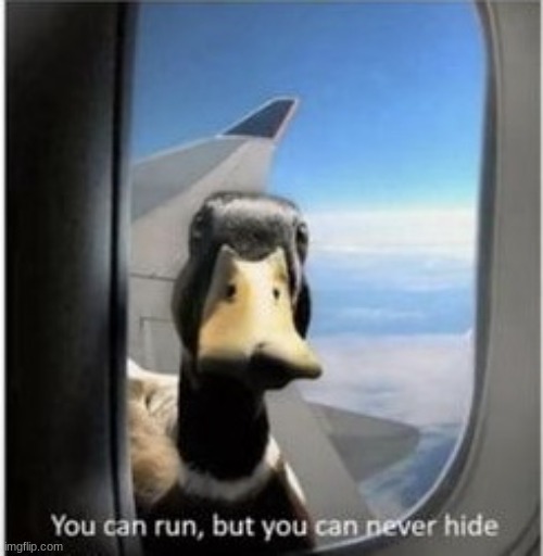 You can run but you can never hide | made w/ Imgflip meme maker