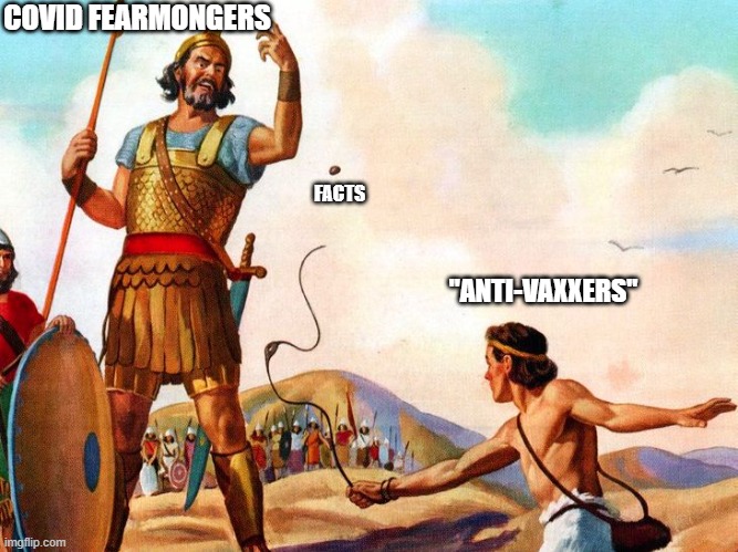 Don't EVER forget. The truth is simply not in them. | COVID FEARMONGERS; FACTS; "ANTI-VAXXERS" | image tagged in david and goliath,fauci,media,covid,vaccines,liars | made w/ Imgflip meme maker