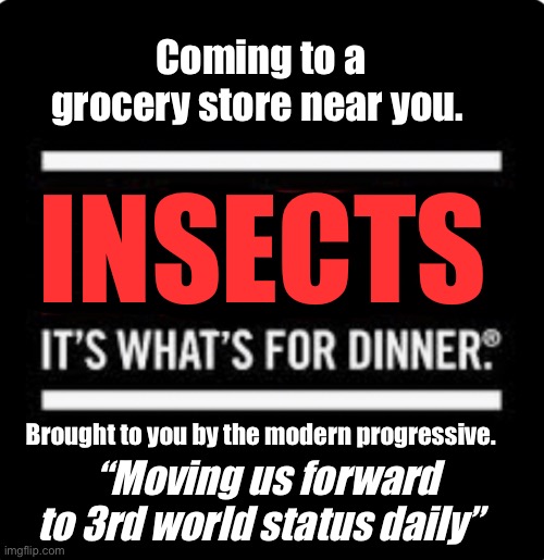 The future looks bright |  Coming to a grocery store near you. INSECTS; “Moving us forward to 3rd world status daily”; Brought to you by the modern progressive. | image tagged in politics lol,memes,progressives | made w/ Imgflip meme maker