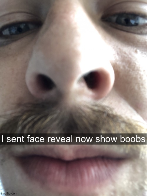 /j | I sent face reveal now show boobs | image tagged in dude looking at phone | made w/ Imgflip meme maker
