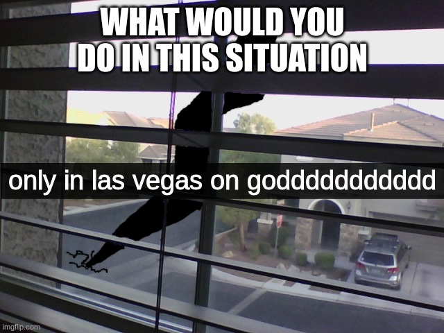 only in las vegas | WHAT WOULD YOU DO IN THIS SITUATION | image tagged in only in las vegas | made w/ Imgflip meme maker