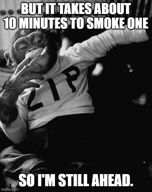 Zip the Smoking Chimp | BUT IT TAKES ABOUT 10 MINUTES TO SMOKE ONE SO I'M STILL AHEAD. | image tagged in zip the smoking chimp | made w/ Imgflip meme maker