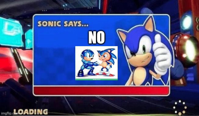 Sonic Says | NO | image tagged in sonic says | made w/ Imgflip meme maker