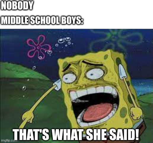 NOBODY; MIDDLE SCHOOL BOYS:; THAT'S WHAT SHE SAID! | image tagged in middle school,spongebob,funny,meme | made w/ Imgflip meme maker