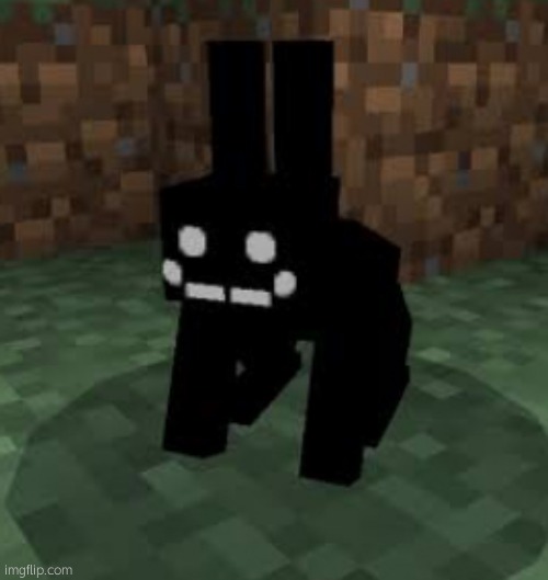 Black rabbit | image tagged in black rabbit | made w/ Imgflip meme maker