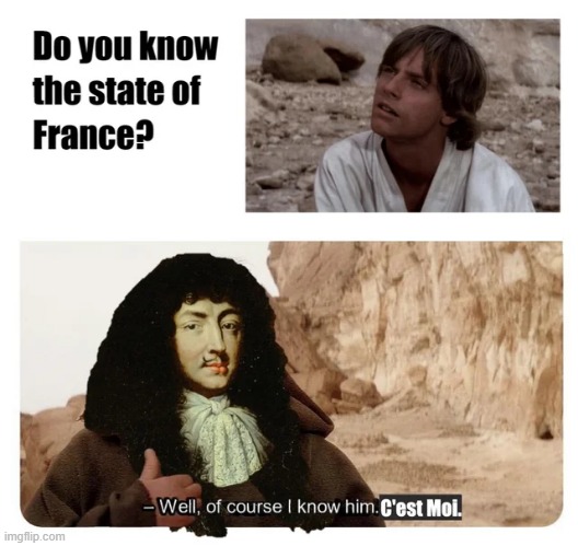 Louis Quatorze | image tagged in history memes | made w/ Imgflip meme maker