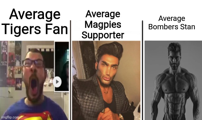 Go Bombers | Average Magpies Supporter; Average Tigers Fan; Average Bombers Stan | image tagged in memes,afl,tigers,magpies,bombers,sports | made w/ Imgflip meme maker