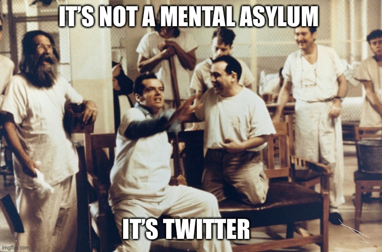 One flew | IT’S NOT A MENTAL ASYLUM; IT’S TWITTER | image tagged in one flew | made w/ Imgflip meme maker