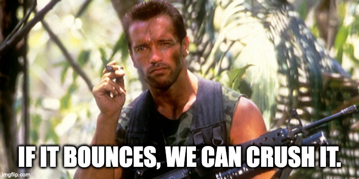 A Dutch man once said | IF IT BOUNCES, WE CAN CRUSH IT. | image tagged in predator arnold | made w/ Imgflip meme maker