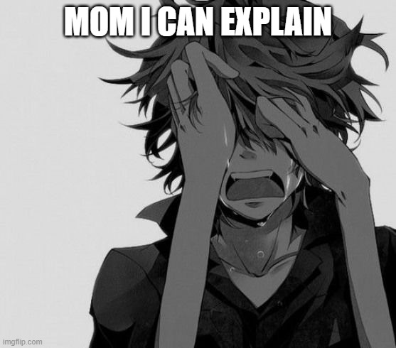 crying anime boy | MOM I CAN EXPLAIN | image tagged in crying anime boy | made w/ Imgflip meme maker