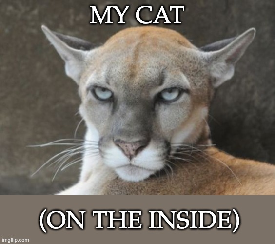 Sure, she purrs, but . . . | MY CAT (ON THE INSIDE) | image tagged in annoyed puma,cats,danger,beautiful | made w/ Imgflip meme maker