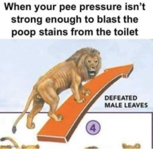 image tagged in memes | made w/ Imgflip meme maker