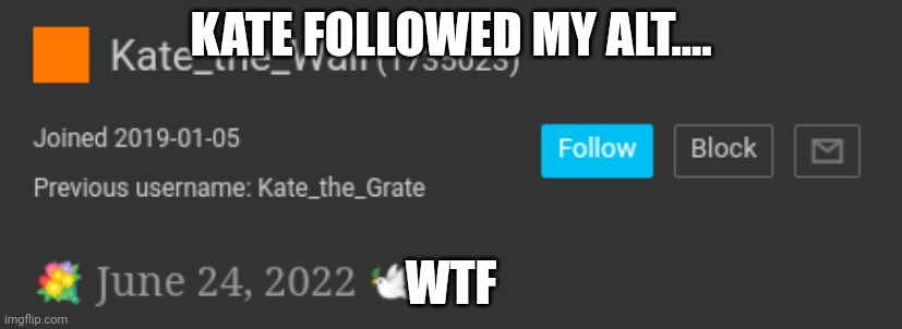 I don't like kate tbh | KATE FOLLOWED MY ALT.... WTF | made w/ Imgflip meme maker