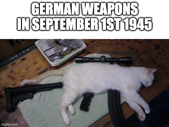 ww2 germany be like | GERMAN WEAPONS IN SEPTEMBER 1ST 1945 | made w/ Imgflip meme maker
