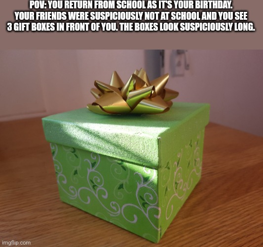 Gift Box | POV: YOU RETURN FROM SCHOOL AS IT'S YOUR BIRTHDAY. YOUR FRIENDS WERE SUSPICIOUSLY NOT AT SCHOOL AND YOU SEE 3 GIFT BOXES IN FRONT OF YOU. THE BOXES LOOK SUSPICIOUSLY LONG. | image tagged in gift box | made w/ Imgflip meme maker