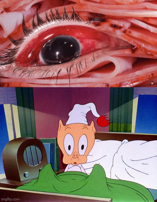 Cursed ham | image tagged in porky pig shock,ham,eye,cursed image,memes,food | made w/ Imgflip meme maker