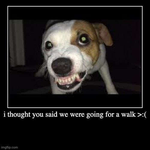 i thought you said we were going for a walk >:( | | image tagged in funny,demotivationals | made w/ Imgflip demotivational maker