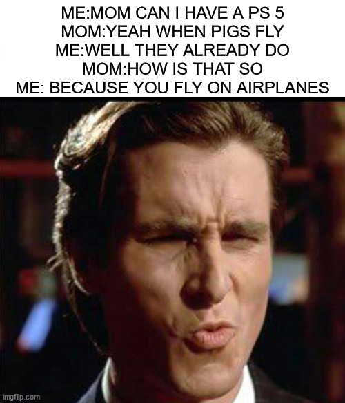 that was ugly | ME:MOM CAN I HAVE A PS 5
MOM:YEAH WHEN PIGS FLY
ME:WELL THEY ALREADY DO
MOM:HOW IS THAT SO
ME: BECAUSE YOU FLY ON AIRPLANES | image tagged in christian bale | made w/ Imgflip meme maker