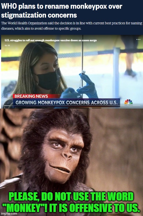 I saw the news story & then saw the movie that this is from in the same day, within hours of one another. | PLEASE, DO NOT USE THE WORD "MONKEY"! IT IS OFFENSIVE TO US. | image tagged in cornelius planet of the apes,monkey pox | made w/ Imgflip meme maker