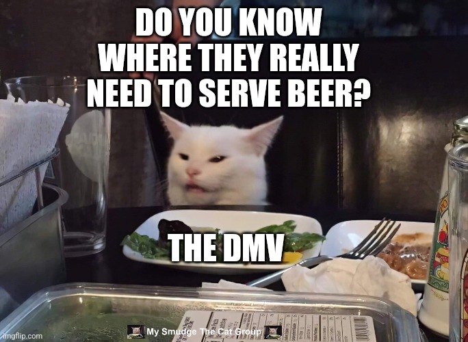  THE DMV; DO YOU KNOW WHERE THEY REALLY NEED TO SERVE BEER? | image tagged in smudge the cat | made w/ Imgflip meme maker