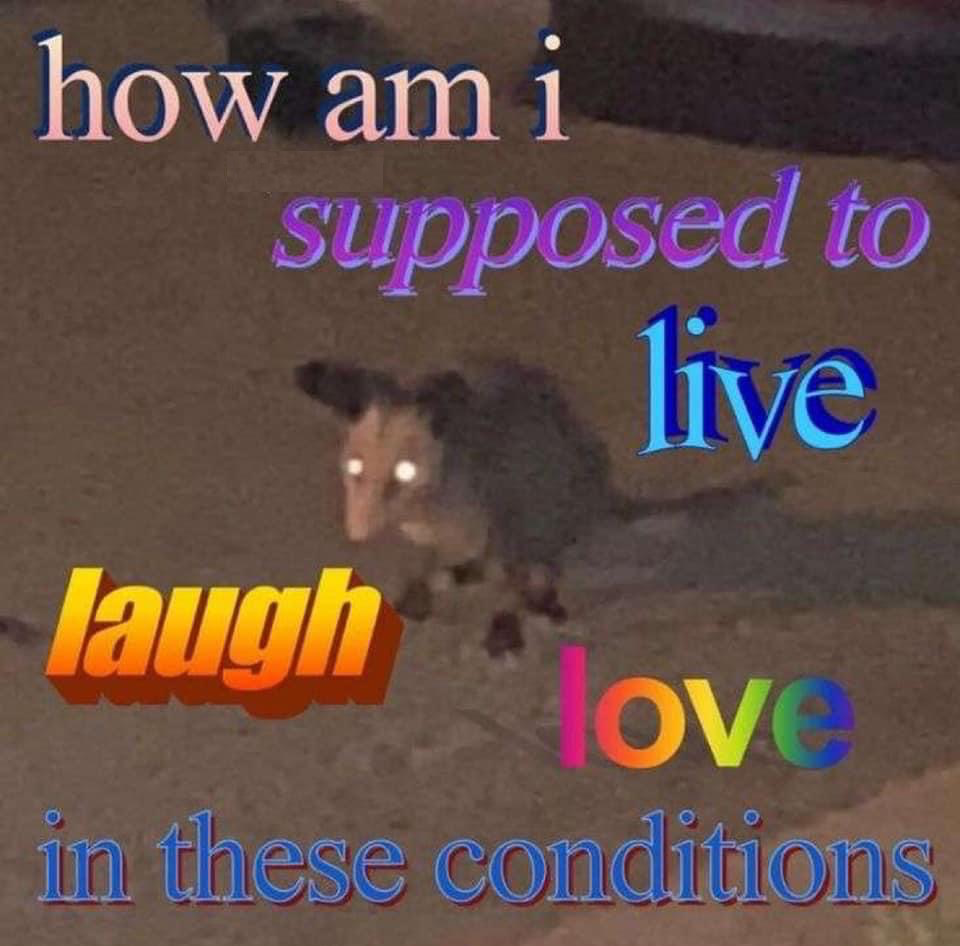 How am I supposed to live laugh love in these conditions Blank Meme Template