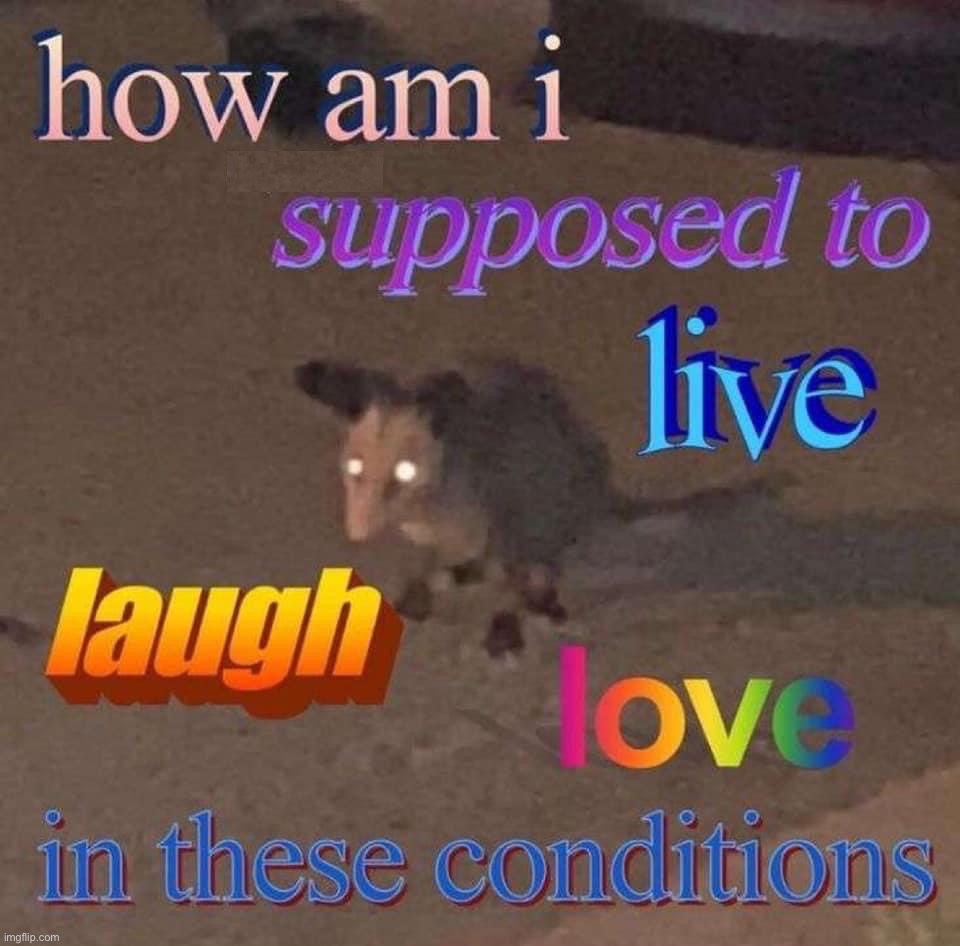 How am I supposed to live laugh love in these conditions | image tagged in how am i supposed to live laugh love in these conditions | made w/ Imgflip meme maker