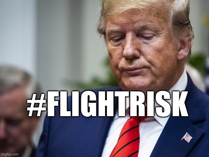 flight risk | #FLIGHTRISK | image tagged in flight risk,donald trump,agent orange,trump russia collusion,espionage,russian spy | made w/ Imgflip meme maker