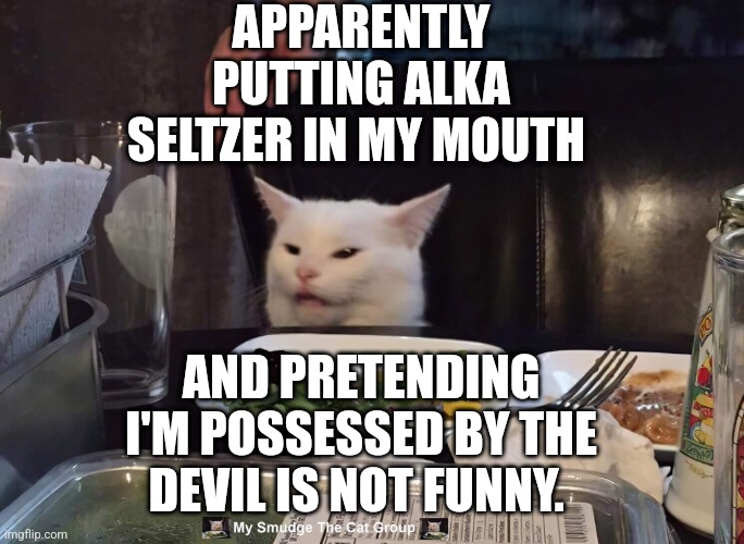  APPARENTLY PUTTING ALKA SELTZER IN MY MOUTH; AND PRETENDING I'M POSSESSED BY THE DEVIL IS NOT FUNNY. | image tagged in smudge the cat | made w/ Imgflip meme maker