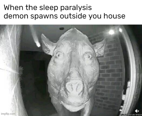 When the sleep paralysis demon spawns outside you house | image tagged in blank white template | made w/ Imgflip meme maker