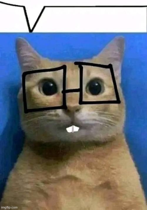 the meme above | made w/ Imgflip meme maker
