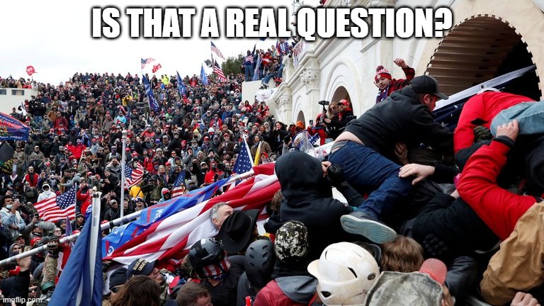 Capitol Terrorists | IS THAT A REAL QUESTION? | image tagged in capitol terrorists | made w/ Imgflip meme maker