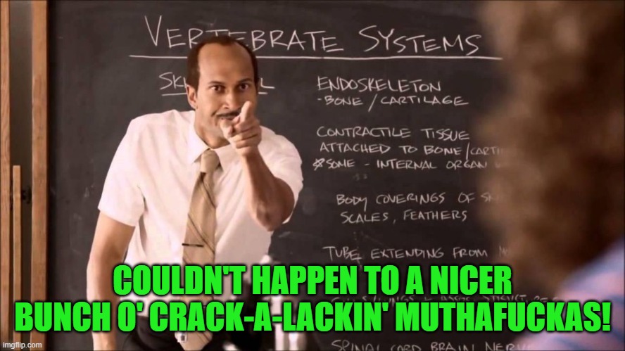 Key and Peele Substitute Teacher | COULDN'T HAPPEN TO A NICER BUNCH O' CRACK-A-LACKIN' MUTHAFUCKAS! | image tagged in key and peele substitute teacher | made w/ Imgflip meme maker