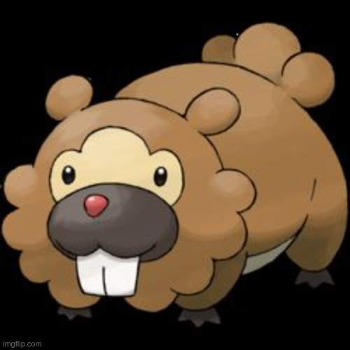 Bidoof | image tagged in bidoof | made w/ Imgflip meme maker