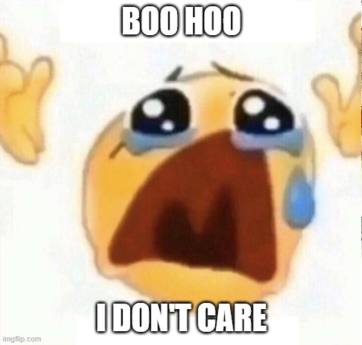 boo hooo | BOO HOO I DON'T CARE | image tagged in boo hooo | made w/ Imgflip meme maker