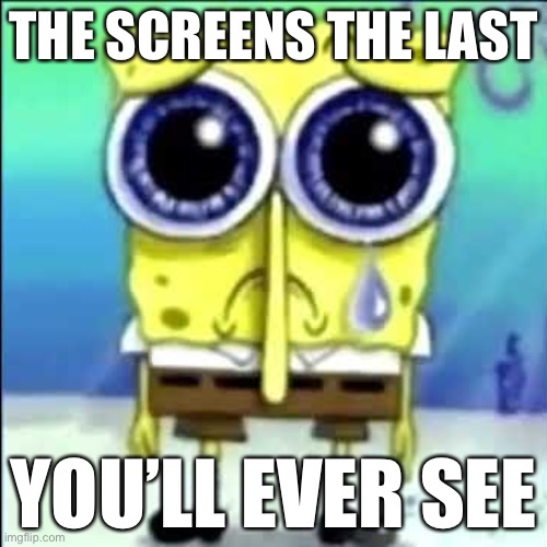 Sad Spongebob | THE SCREENS THE LAST; YOU’LL EVER SEE | image tagged in sad spongebob | made w/ Imgflip meme maker