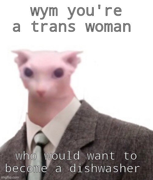 bingus | wym you're a trans woman; who would want to become a dishwasher | image tagged in bingus | made w/ Imgflip meme maker