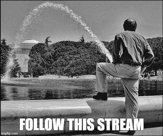 Follow This Stream | FOLLOW THIS STREAM | image tagged in stream,follow this stream,followingallstreams,thememezone | made w/ Imgflip meme maker