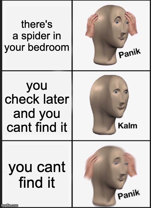 Panik Kalm Panik | there's a spider in your bedroom; you check later and you cant find it; you cant find it | image tagged in memes,panik kalm panik | made w/ Imgflip meme maker