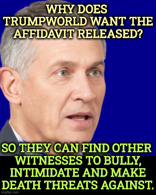 WHY DOES 
TRUMPWORLD WANT THE AFFIDAVIT RELEASED? SO THEY CAN FIND OTHER 

WITNESSES TO BULLY, INTIMIDATE AND MAKE DEATH THREATS AGAINST. | image tagged in trump,criminal,bully,death,threats,witnesses | made w/ Imgflip meme maker