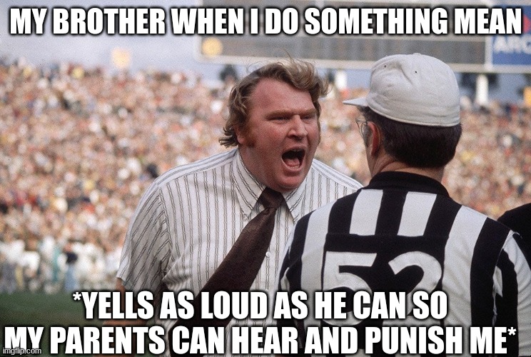Fakts | MY BROTHER WHEN I DO SOMETHING MEAN; *YELLS AS LOUD AS HE CAN SO MY PARENTS CAN HEAR AND PUNISH ME* | image tagged in madden yelling | made w/ Imgflip meme maker