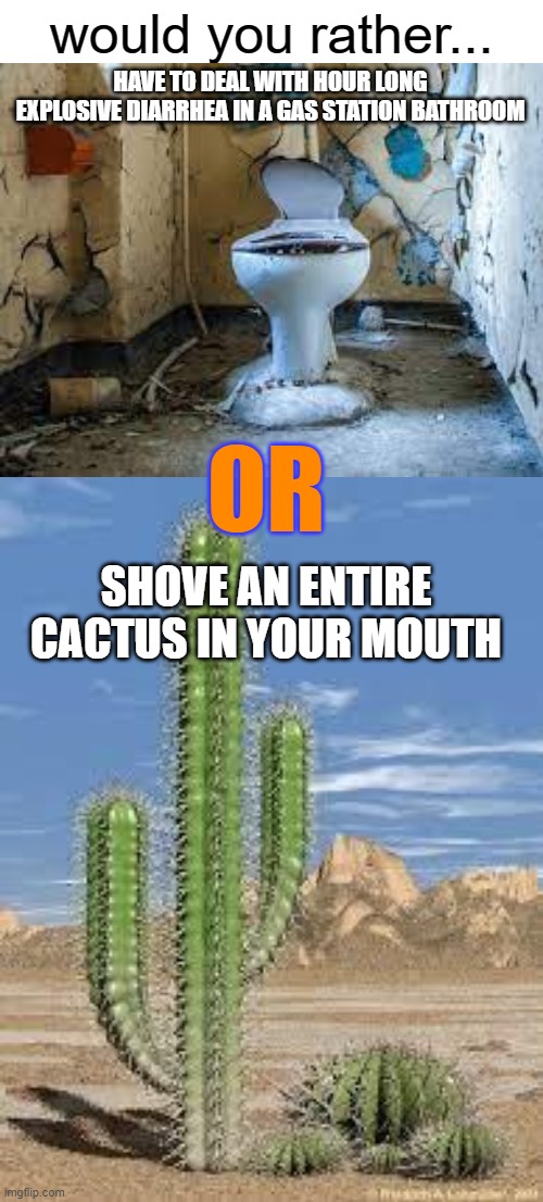 HAVE TO DEAL WITH HOUR LONG EXPLOSIVE DIARRHEA IN A GAS STATION BATHROOM; OR; SHOVE AN ENTIRE CACTUS IN YOUR MOUTH | image tagged in cactus | made w/ Imgflip meme maker
