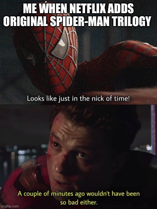 Tfj | ME WHEN NETFLIX ADDS ORIGINAL SPIDER-MAN TRILOGY | image tagged in tfj | made w/ Imgflip meme maker