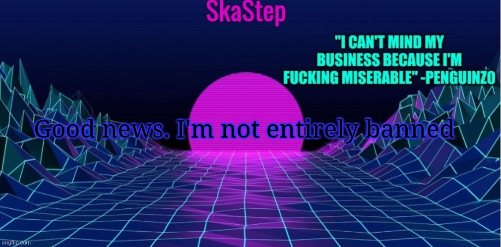 Leave it to the site mods to false ban | Good news. I'm not entirely banned | image tagged in skastep temp | made w/ Imgflip meme maker
