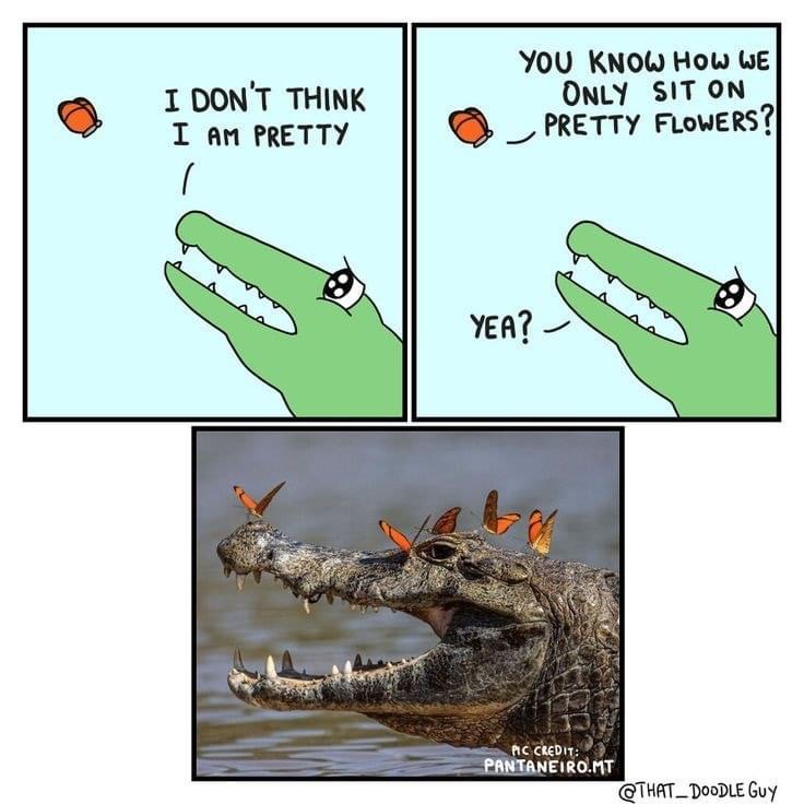 Wholesome crocodile comic Blank Meme Template