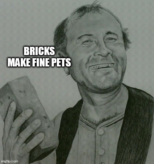 Ernest T. Bass | BRICKS MAKE FINE PETS | image tagged in ernest t bass | made w/ Imgflip meme maker