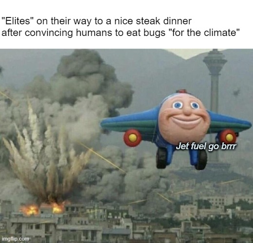Sukit, climate | "Elites" on their way to a nice steak dinner after convincing humans to eat bugs "for the climate"; Jet fuel go brrr | image tagged in plane flying from explosions | made w/ Imgflip meme maker