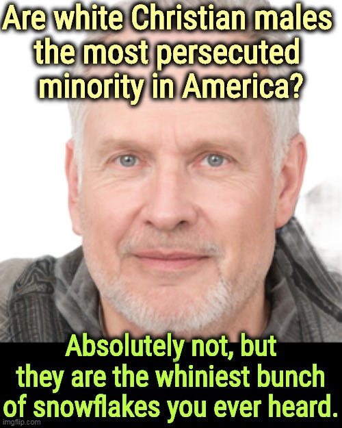MAGA victims unite! You need each other. Nobody else can put up with you. | Are white Christian males 
the most persecuted 
minority in America? Absolutely not, but they are the whiniest bunch of snowflakes you ever heard. | image tagged in white,christian,male,self-pity,crying,snowflakes | made w/ Imgflip meme maker