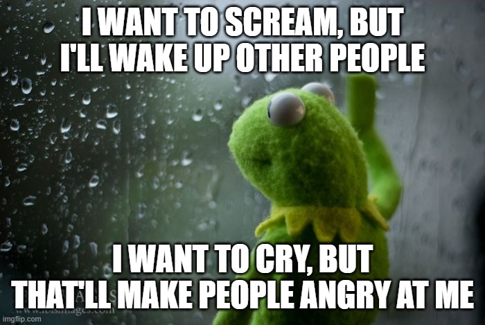 kermit window |  I WANT TO SCREAM, BUT I'LL WAKE UP OTHER PEOPLE; I WANT TO CRY, BUT THAT'LL MAKE PEOPLE ANGRY AT ME | image tagged in kermit window | made w/ Imgflip meme maker