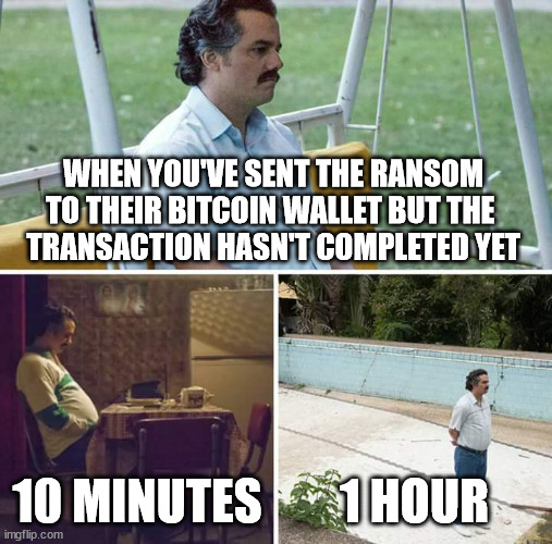 Maybe backups would have been faster | WHEN YOU'VE SENT THE RANSOM TO THEIR BITCOIN WALLET BUT THE 
TRANSACTION HASN'T COMPLETED YET; 10 MINUTES; 1 HOUR | image tagged in memes,sad pablo escobar | made w/ Imgflip meme maker